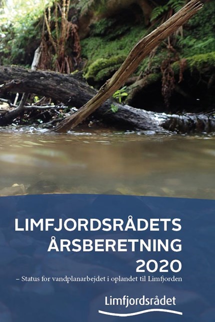 Årsbetning 2020
